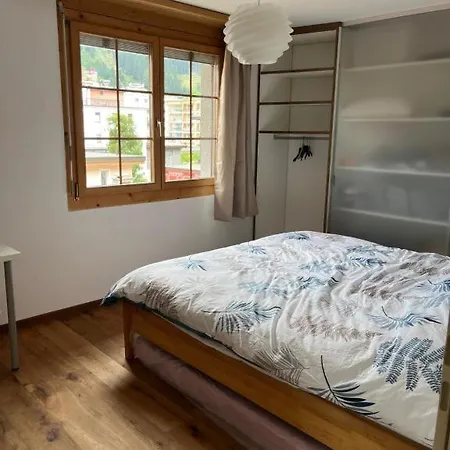 Executive Walk To Congress Centre * Davos